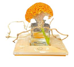 Tablett altholländisch Annette Farbe Orange 1
