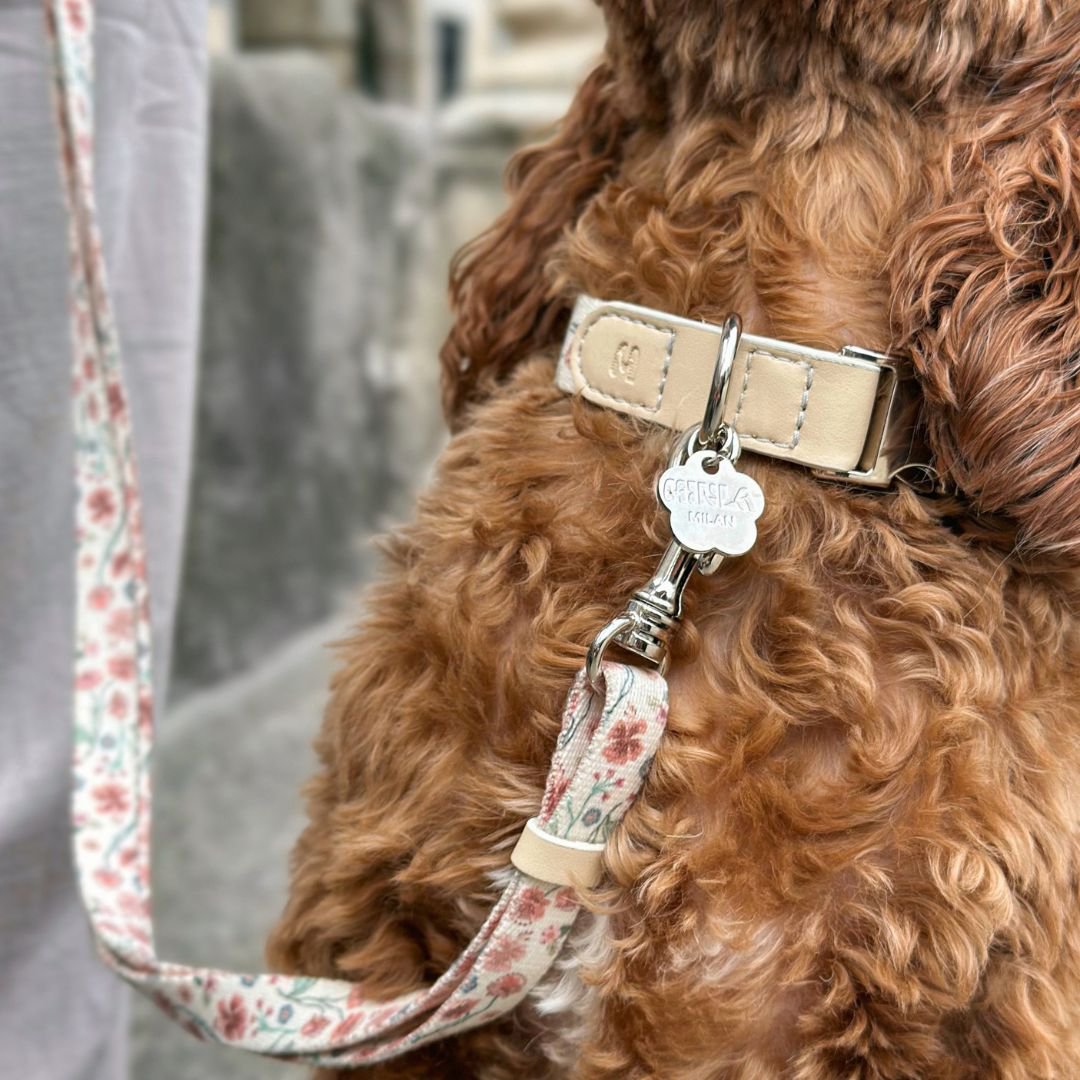 Multifunction Dog Leash - Midsummer