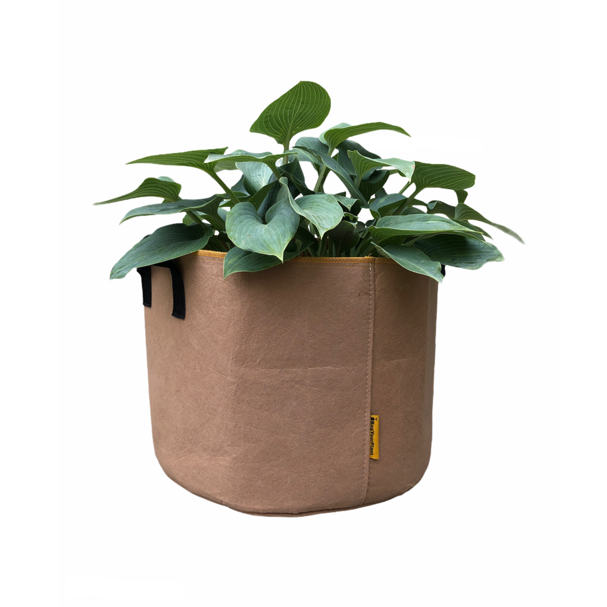 Borsa Terracotta (L)