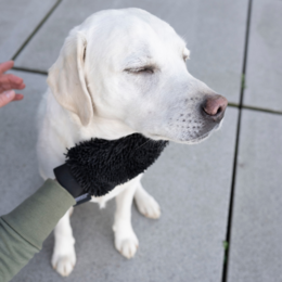 Guanti asciutti di cane antracite a secco rapido