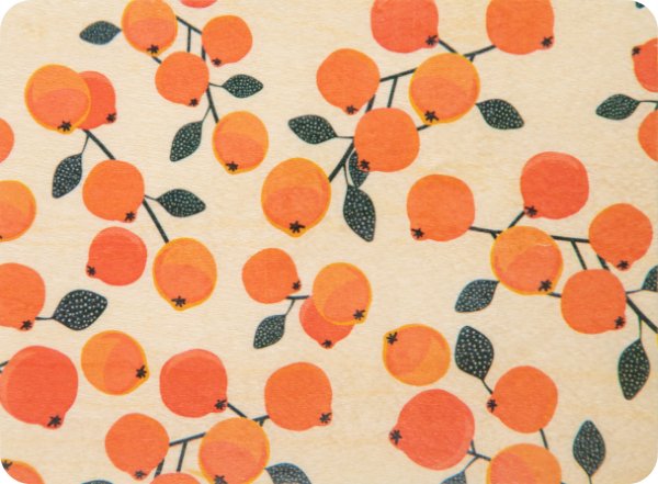 Kinder Holzkarte Woodhikids abc Orangen