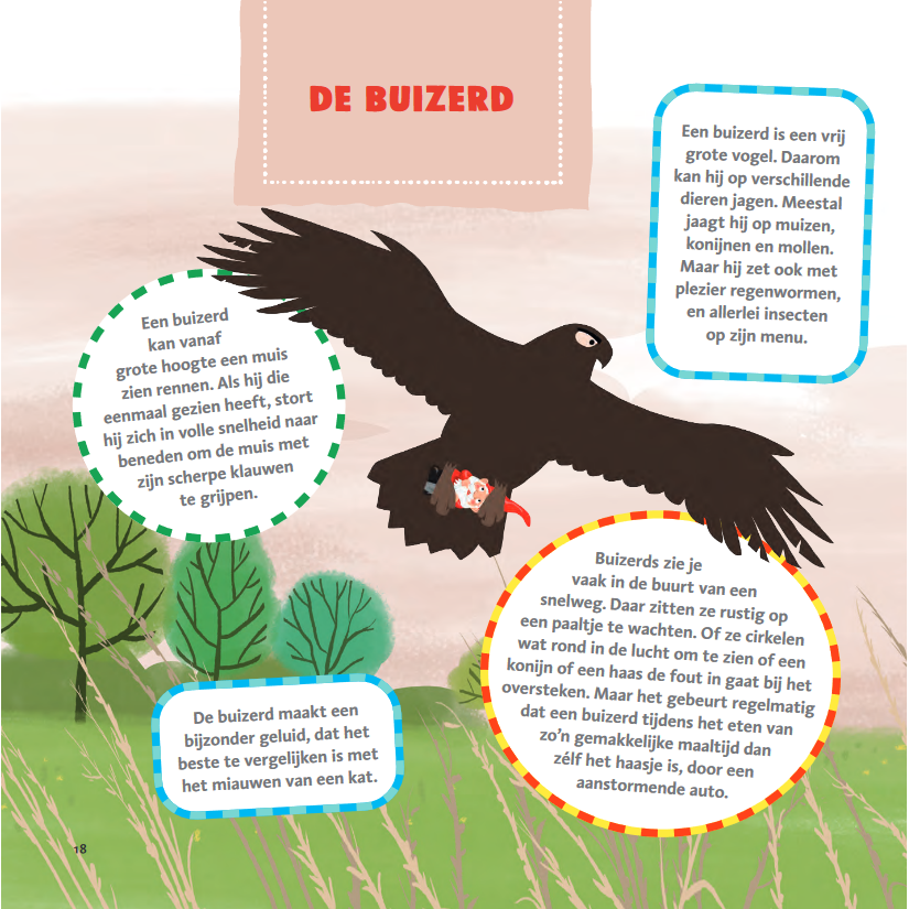 Marianne Busser & Ron Schröder - The thick bird book