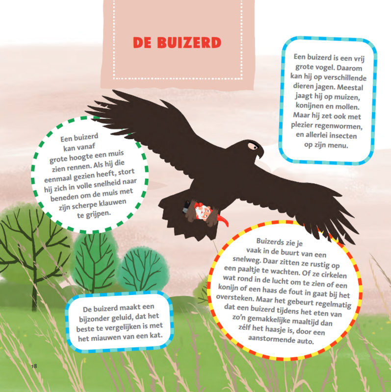 Marianne Busser & Ron Schröder - The thick bird book