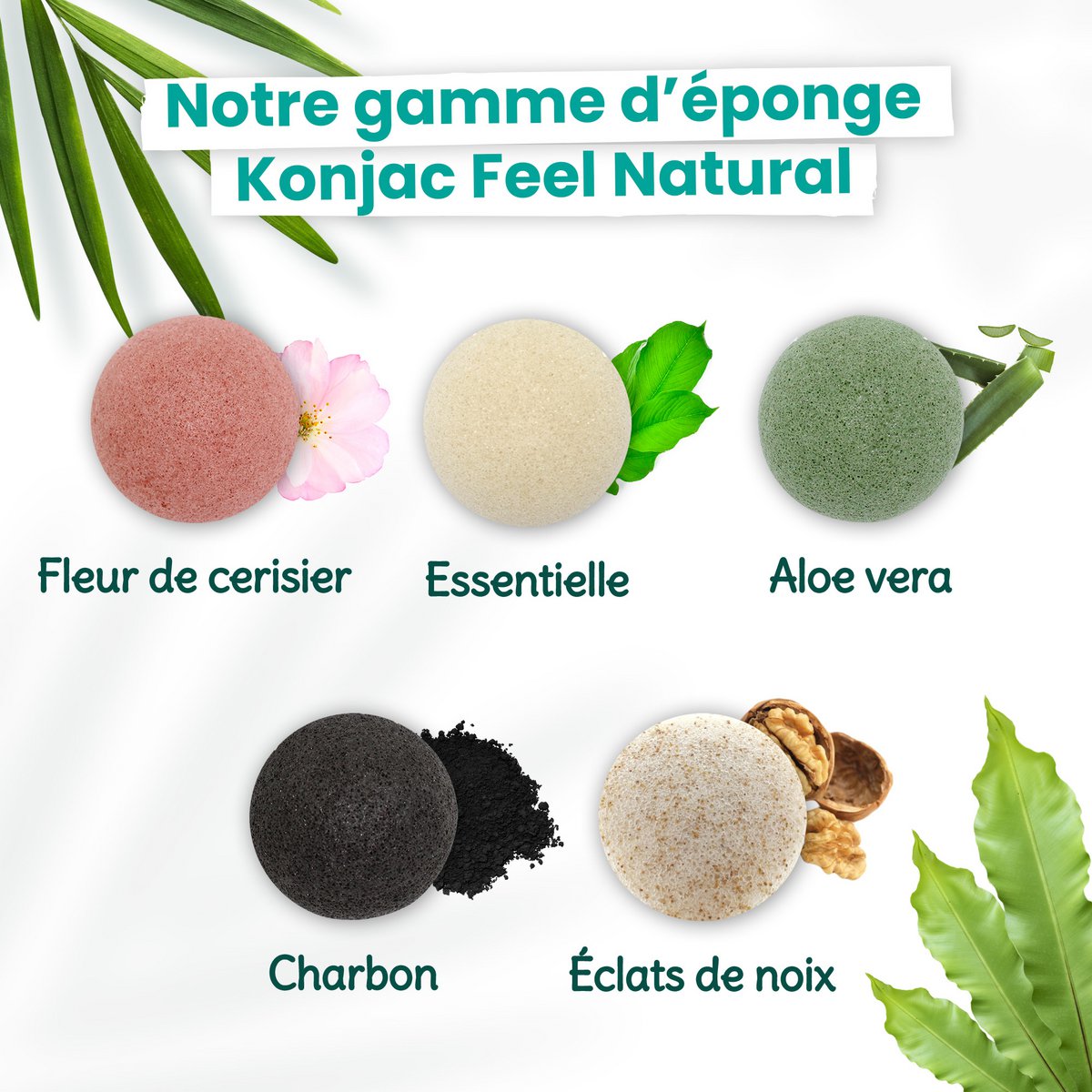 Konjac Sponge 100% natuurlijk gezicht