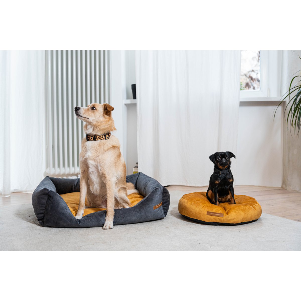 Cuccia per cani e gatti Rexproduct Softcolor – grafite/multicolore