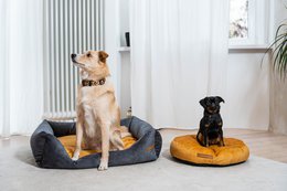 Hunde- og katteseng Rexproduct Softcolor – grafit/multicolor
