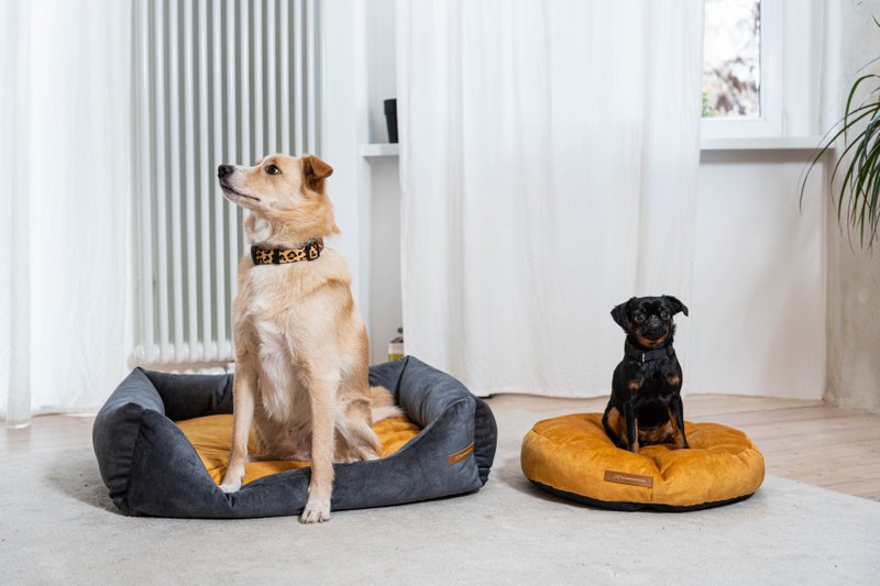 Hunde- og katteseng Rexproduct Softcolor – grafit/multicolor