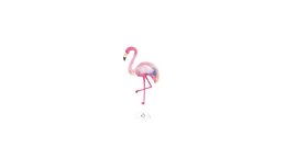 Tatouage éphémère : Flamant rose x5