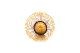 Frusta di bambù Mindful Matcha