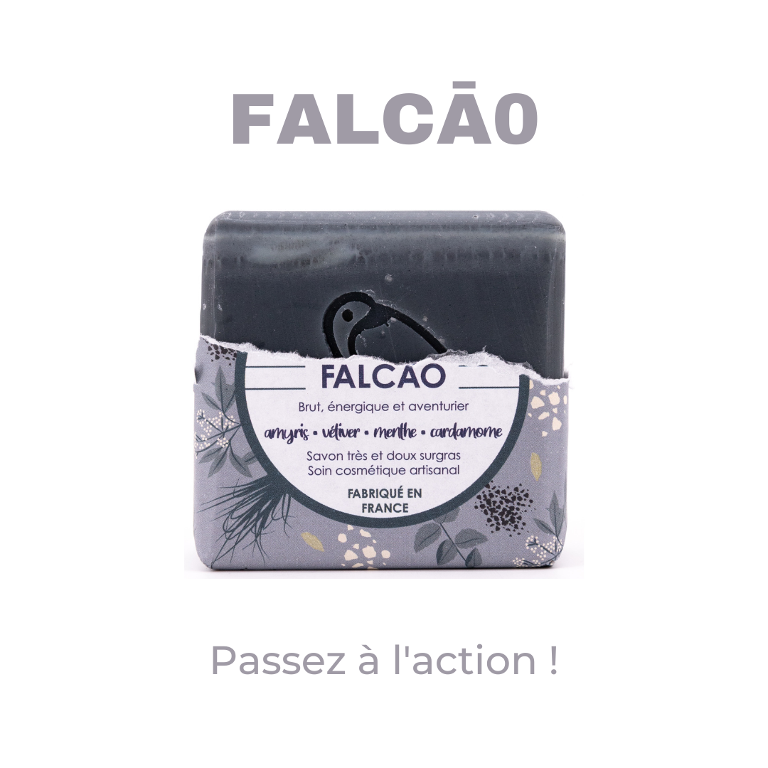 FALCAO SOAP