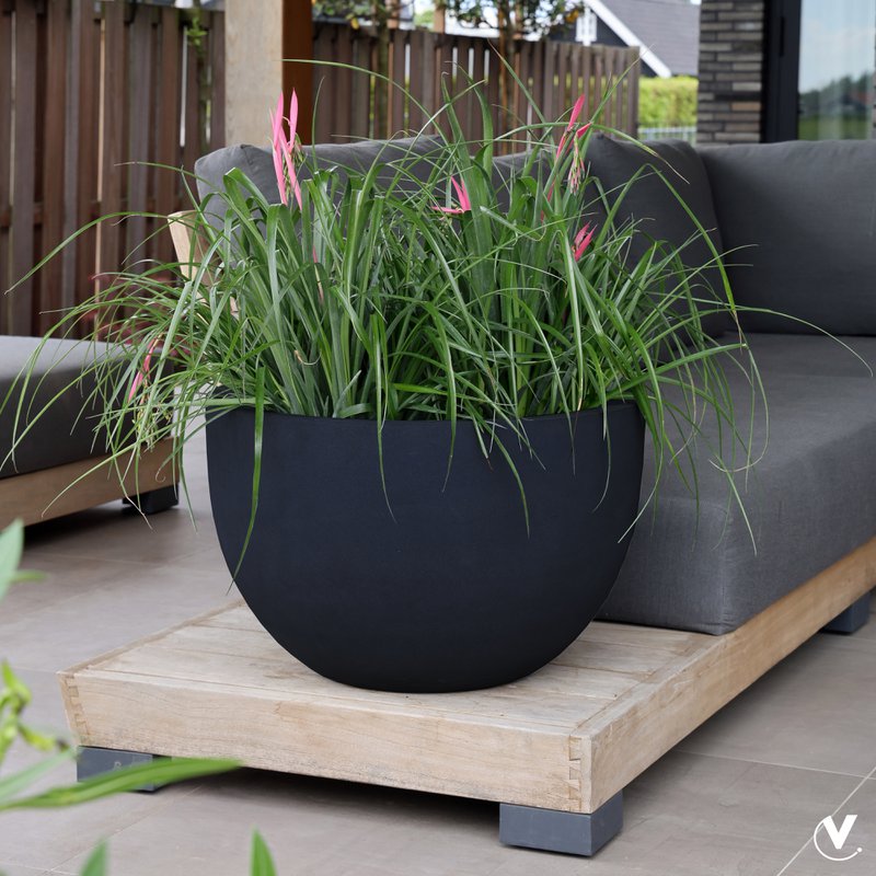 Plantenpot - Louisiana Black