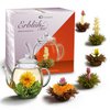 Creano Teeblumen-Mix Geschenkset Glaskanne 6 Teekugeln