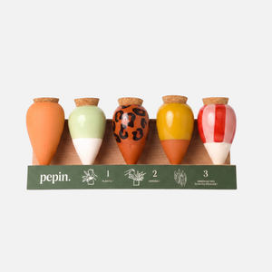 Olla Discovery Pack (display offered)