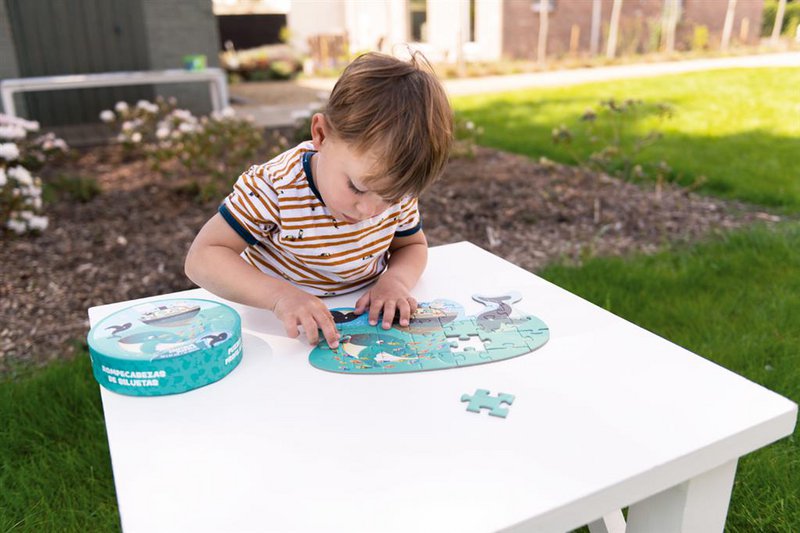 Contour Puzzel - Walvissen