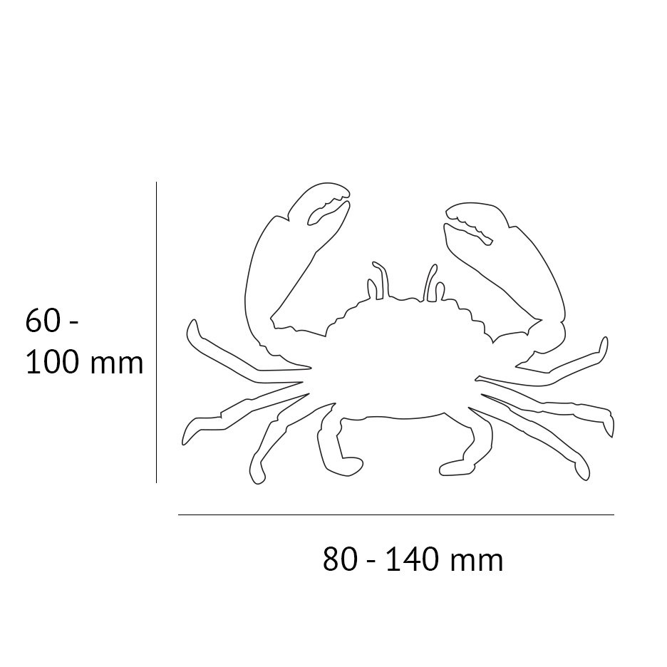 Watercolor crab wall sticker