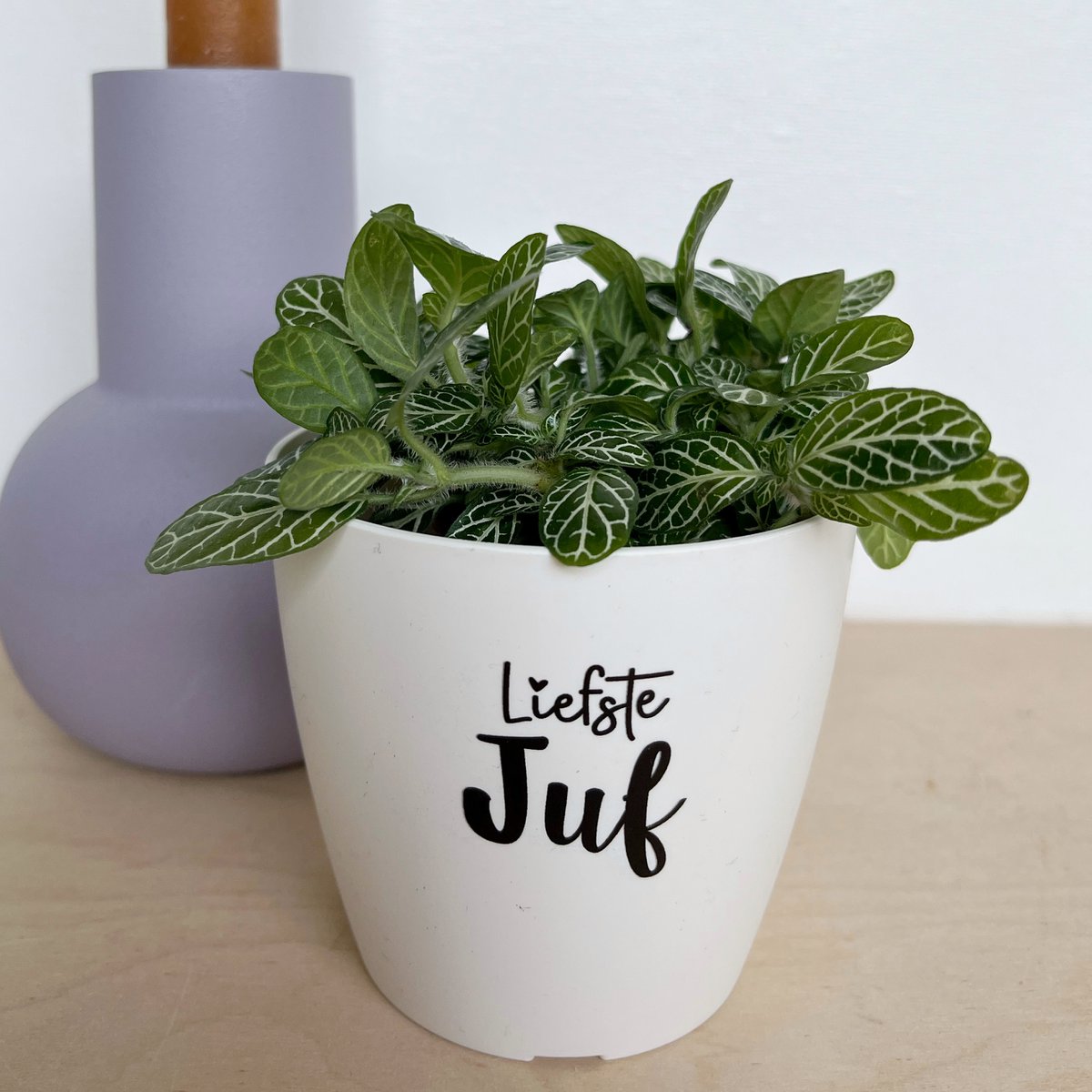 Flowerpot 'Dearest teacher' - white