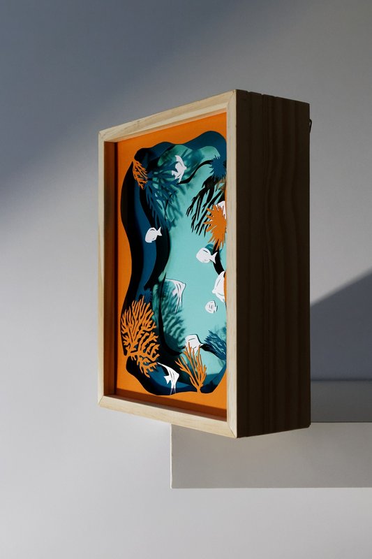 fish light frame
