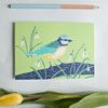 Postkarte | Meise
