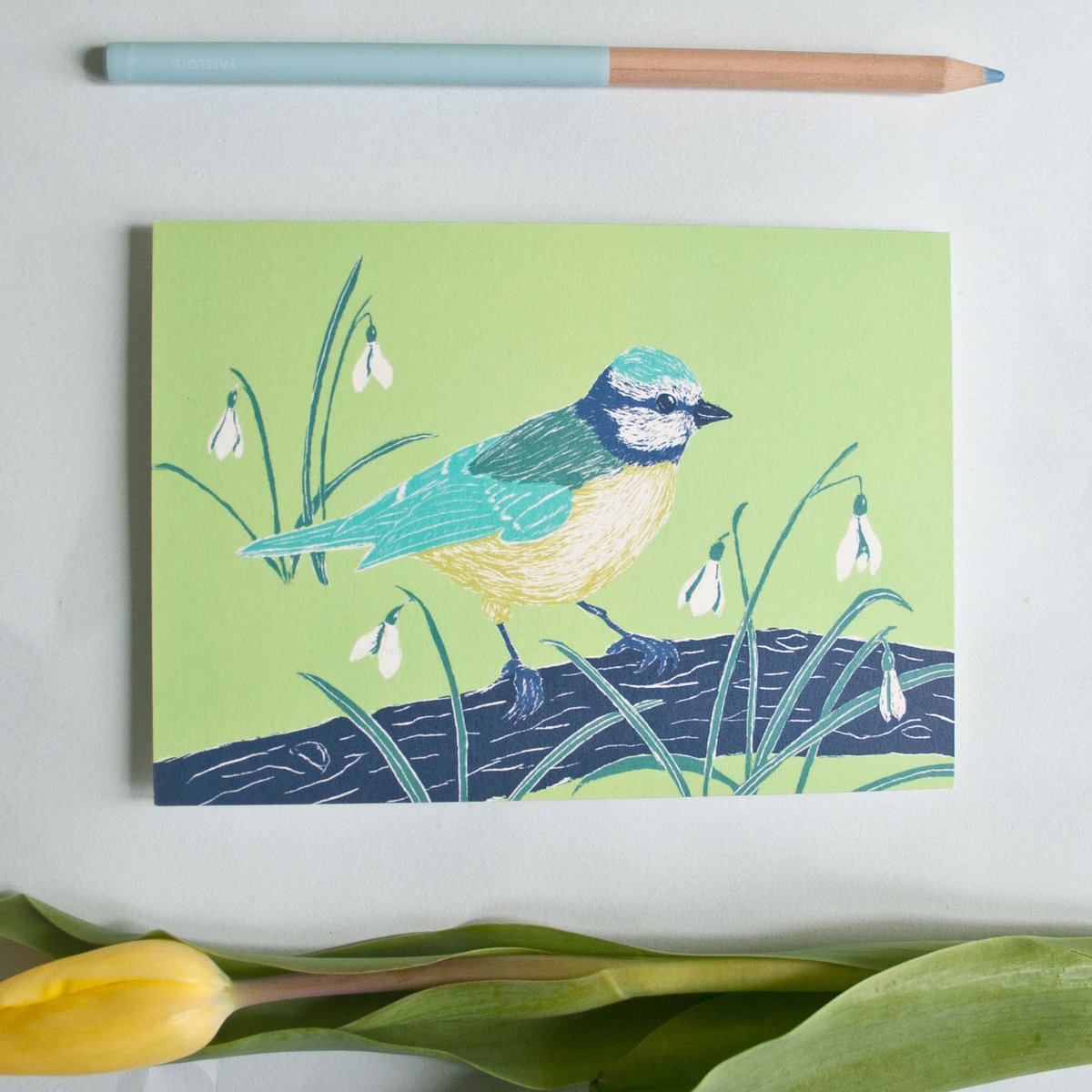 Cartolina | tit