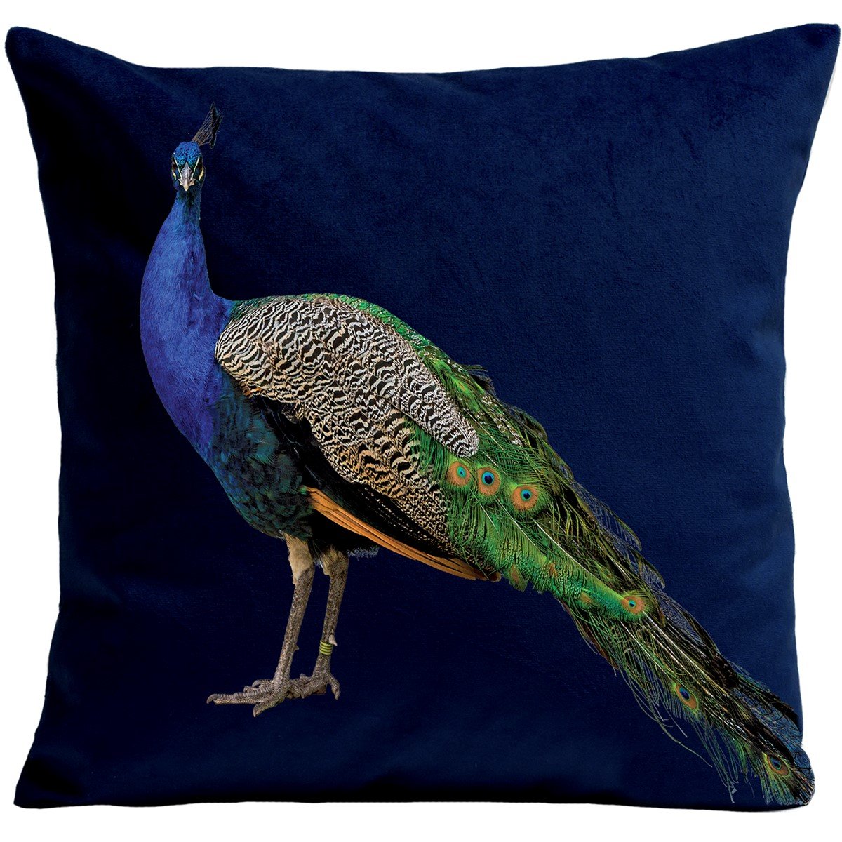 Country Style Cushion, Royal Peacock