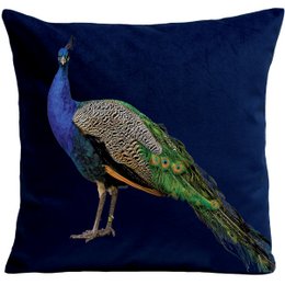 Cojín de estilo campestre, pavo real real