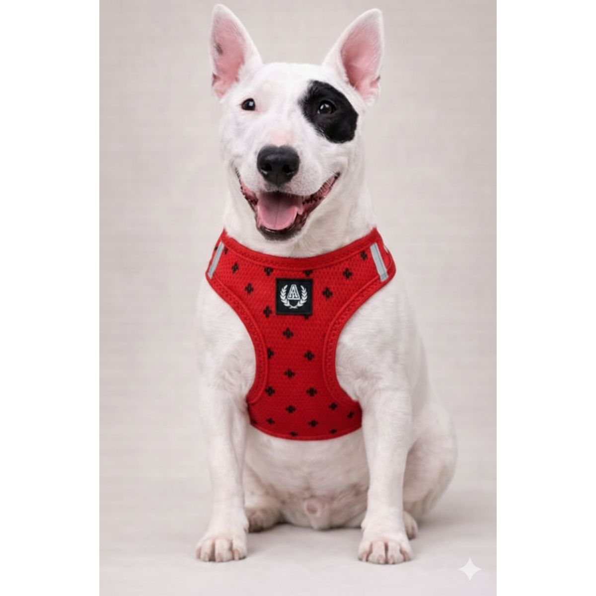 Alpha Dog Åndbar Air Mesh Harness Collection Red Positive- 5-Pc sæt