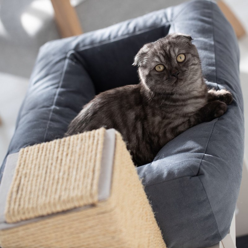 TUJA - one level cat house
