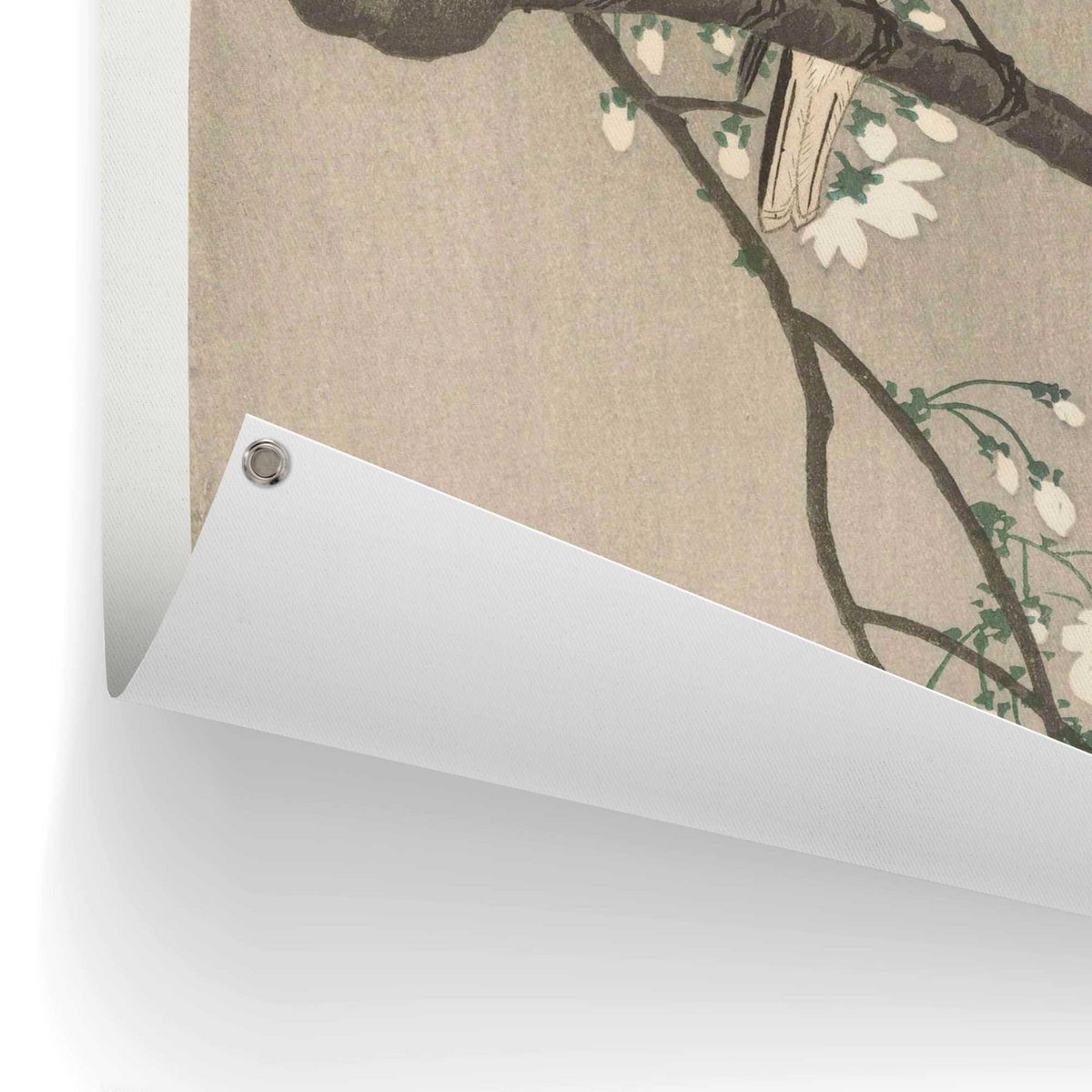 Garden poster Garden poster Ohara Koson - Great tits on blossom branch 80x60