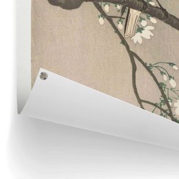 Garden poster Garden poster Ohara Koson - Great tits on blossom branch 80x60