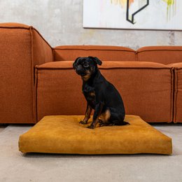 Materasso "Soft" per cane e gatto - riciclato