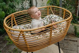 Fiore di melo del nido del bambino