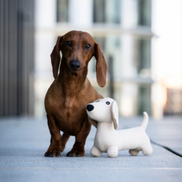 Dog zabawka dackel Pepe