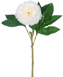 Pivoine artificielle Real Touch Blanche 58cm