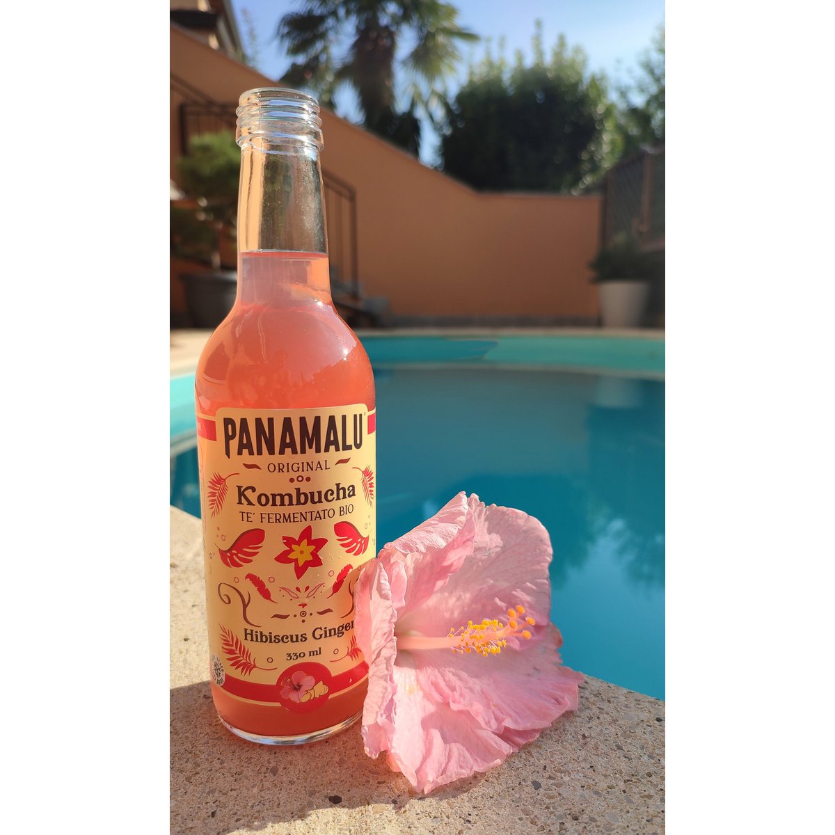 HIBISCUS-GEMBER KOMBUCHA (DOOS DA 6 BOTTIGLIE 330ml)