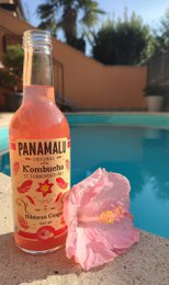 HIBISKUS-INGWER KOMBUCHA (BOX DA 6 BOTTIGLIE 330ml)