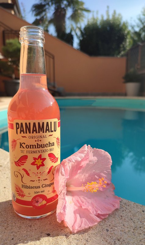 HIBISKUS-INGWER KOMBUCHA (BOX DA 6 BOTTIGLIE 330ml)