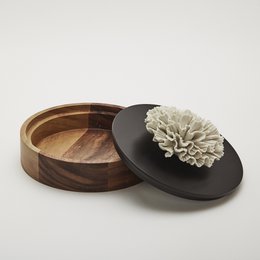 CHAN-XL BOX 20cm
