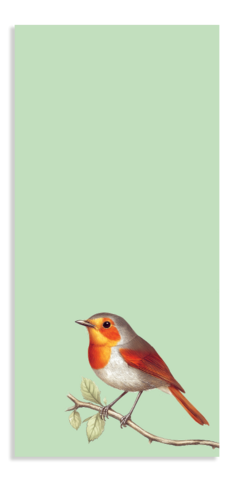 Notepad Din Lang Robin