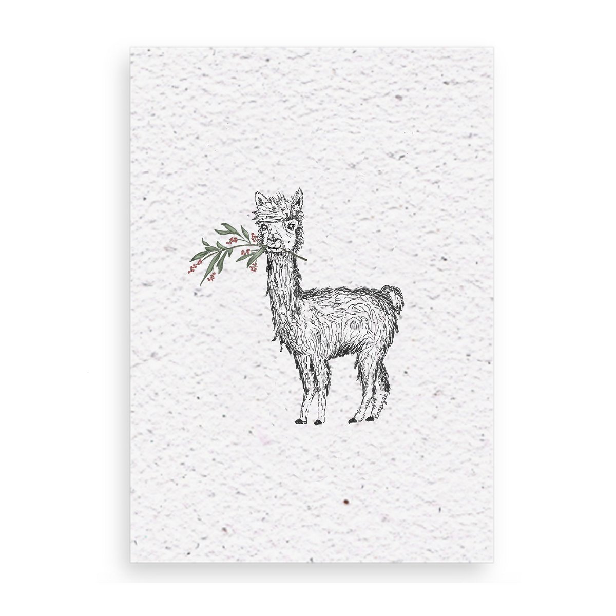Kerstkaart alpaca met kersttakje