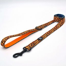 Hundesnor Go Wild Or Go Blue