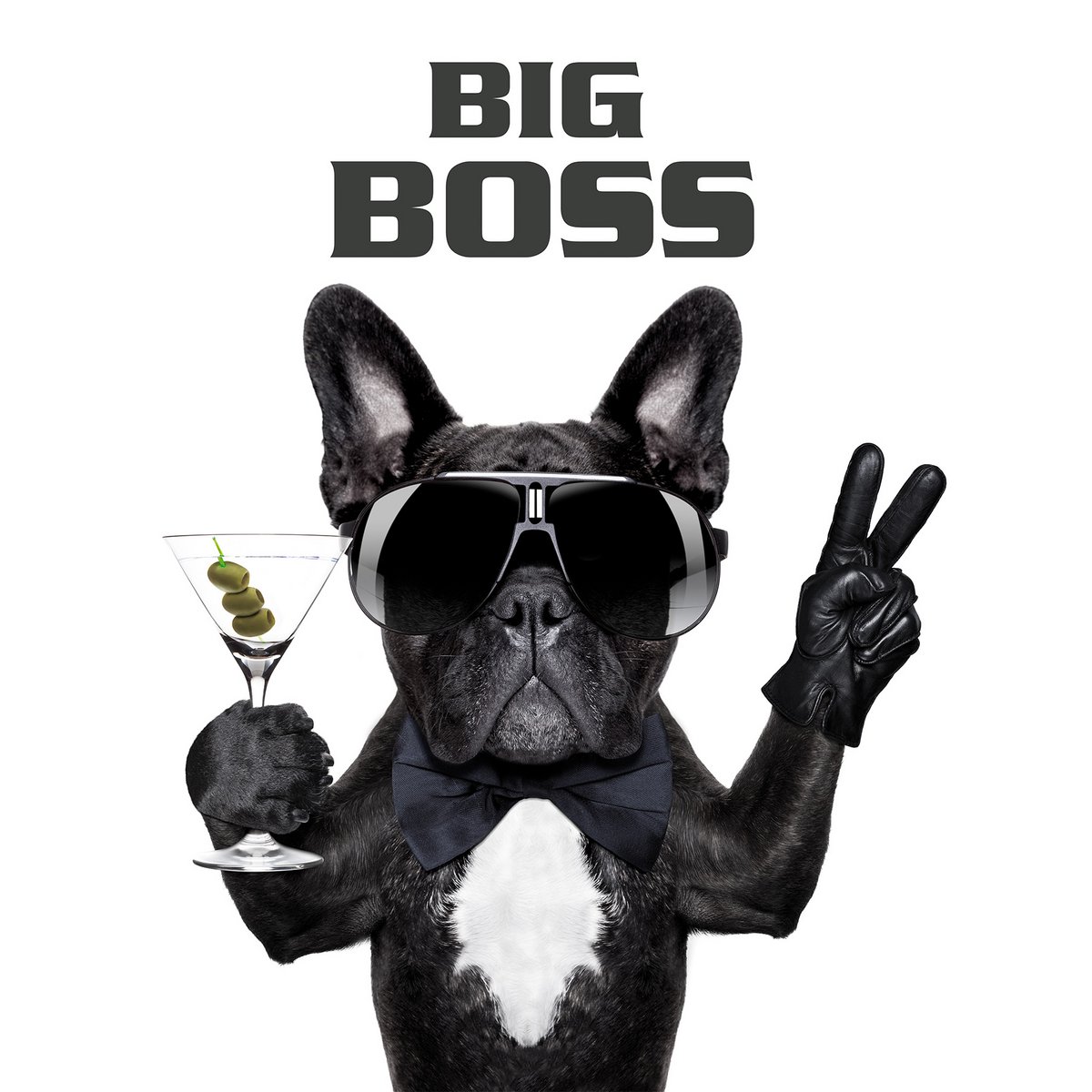 Wandfoto DOG BIG BOSS 46x61 cm canvas foto op spieraam decoratie modern