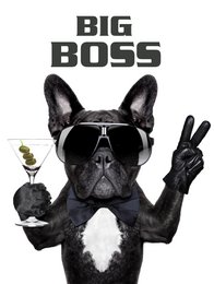 Vægbillede HUND BIG BOSS 46x61 cm lærred billedbåre ramme dekoration moderne