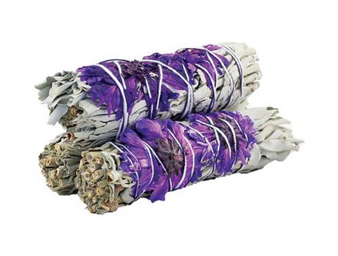 Witte Salie Smudge voor Spirituele Focus 10 cm