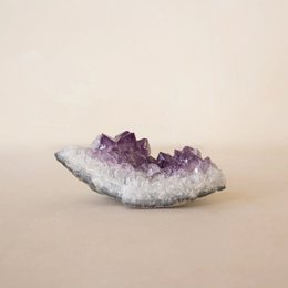 Grappolo di ametista