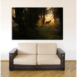Acrylglasbild - Dusky II