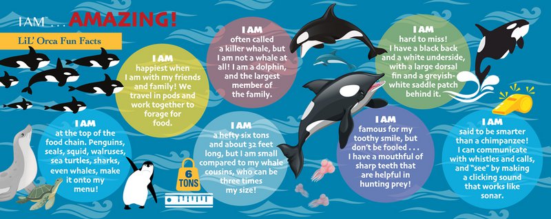 I Am Lil' - Orka