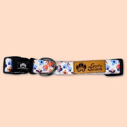 Collier pour chien Printemps