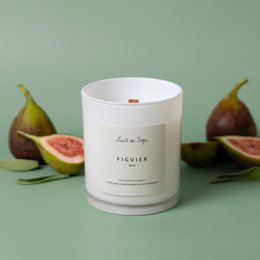 Figuier