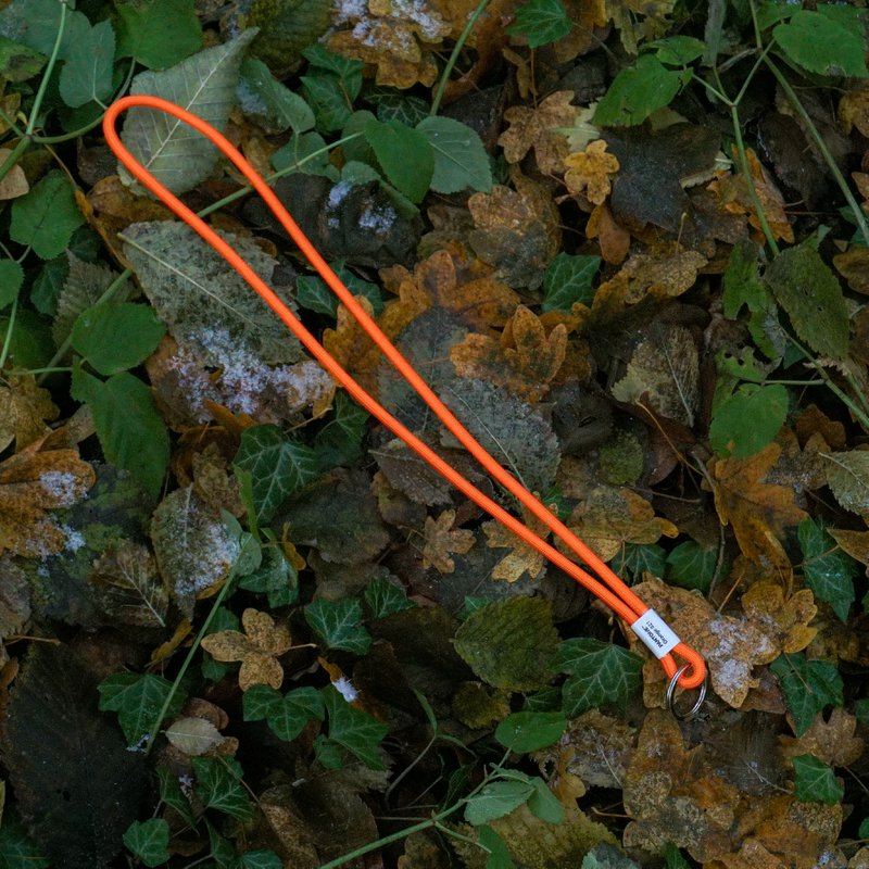 PANTONE KEY CHAIN LONG