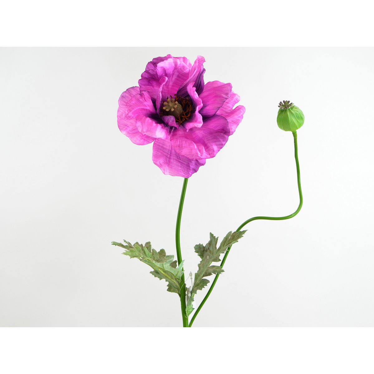 Branche de coquelicot, 1 fleur, 1 noeud, 78cm, violet